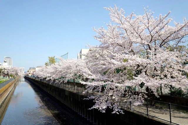 埼玉県草加市の一般病院にて循環器内科医師を募集しています。 埼玉県草加市の一般病院にて循環器内科医師を募集しています。