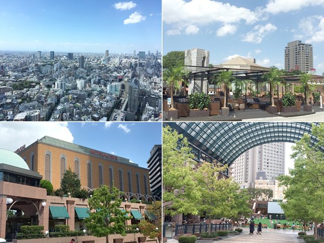 東京都渋谷区のクリニックで一般内科外来をご担当いただける医師を急募。 東京都渋谷区のクリニックで一般内科外来をご担当いただける医師を急募。