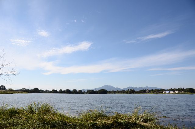 熊本市の健康管理センターにて消化器内科、呼吸器内科、放射線科を募集 熊本市の健康管理センターにて消化器内科、呼吸器内科、放射線科を募集