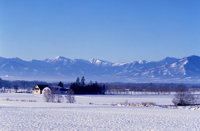 各科拡充のため医師を募集:内科系・整形外科・麻酔科・リハビリ|北海道帯広市の病院 各科拡充のため医師を募集:内科系・整形外科・麻酔科・リハビリ|北海道帯広市の病院