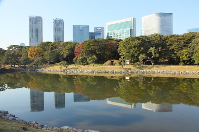 東京都港区の健診クリニックで内視鏡担当医師を募集します。 東京都港区の健診クリニックで内視鏡担当医師を募集します。