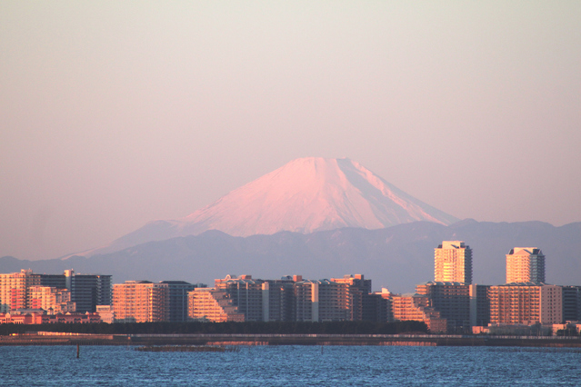 千葉県習志野市の病院で回復リハ専従(専任)医師を募集します。 千葉県習志野市の病院で回復リハ専従(専任)医師を募集します。
