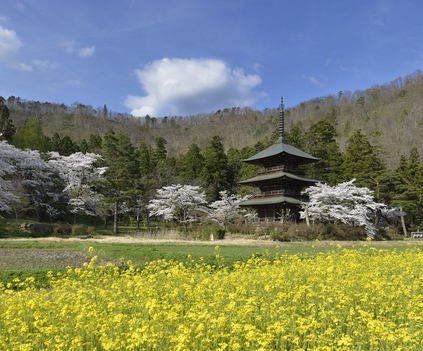 東北(山形県 置場地域)の公的病院にて「内科・整形外科・外科」を急募 東北(山形県 置場地域)の公的病院にて「内科・整形外科・外科」を急募