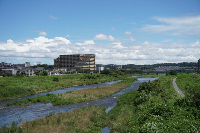 八王子市 浅川
